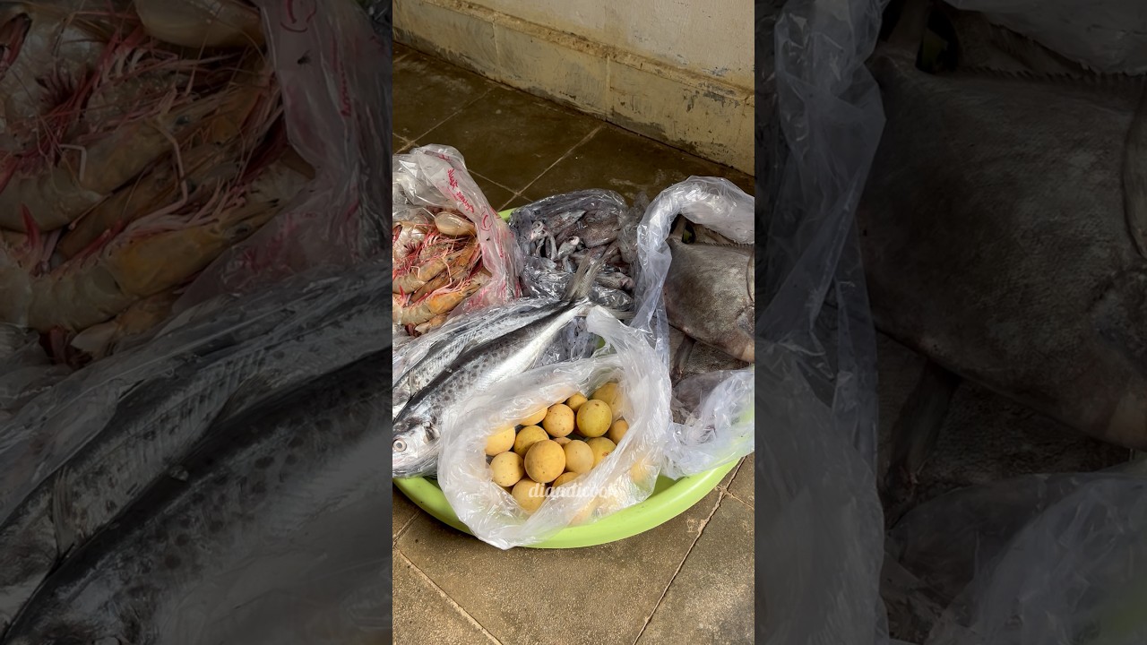Belanja Ikan Lagi 