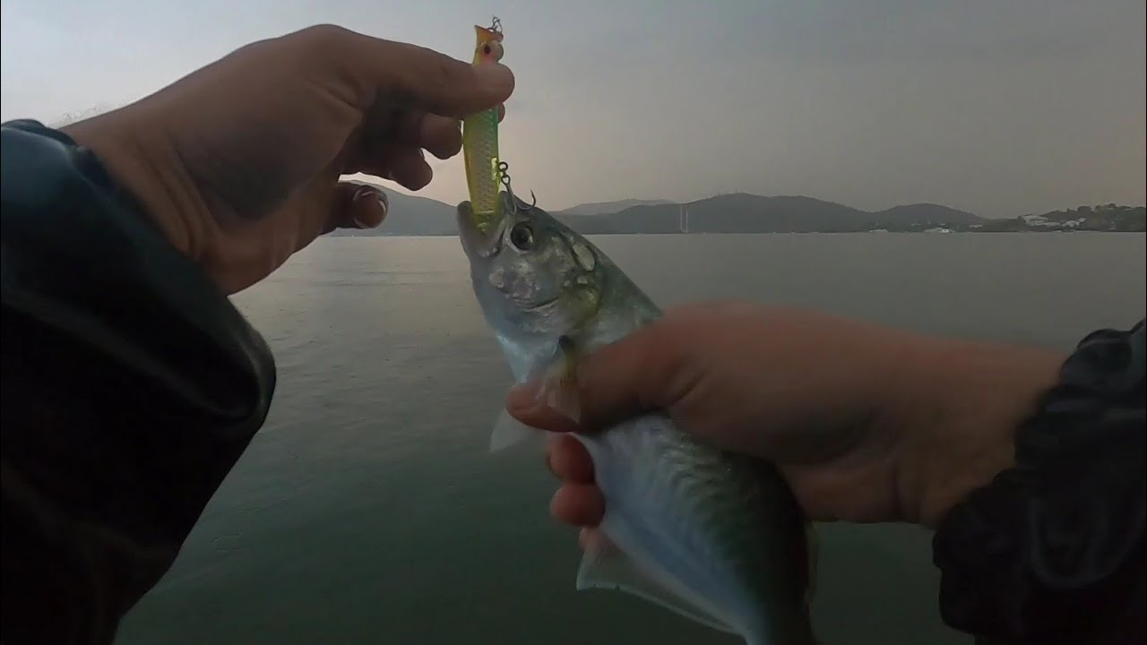 LÜFER SEZONU BAŞLADI. Yağmur altında aksiyon dolu at-çek lüfer avı.
