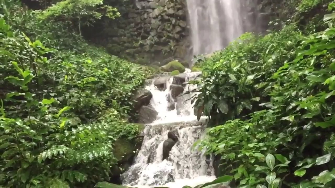 Singapore - tallest man made waterfall (jurong bird park)
