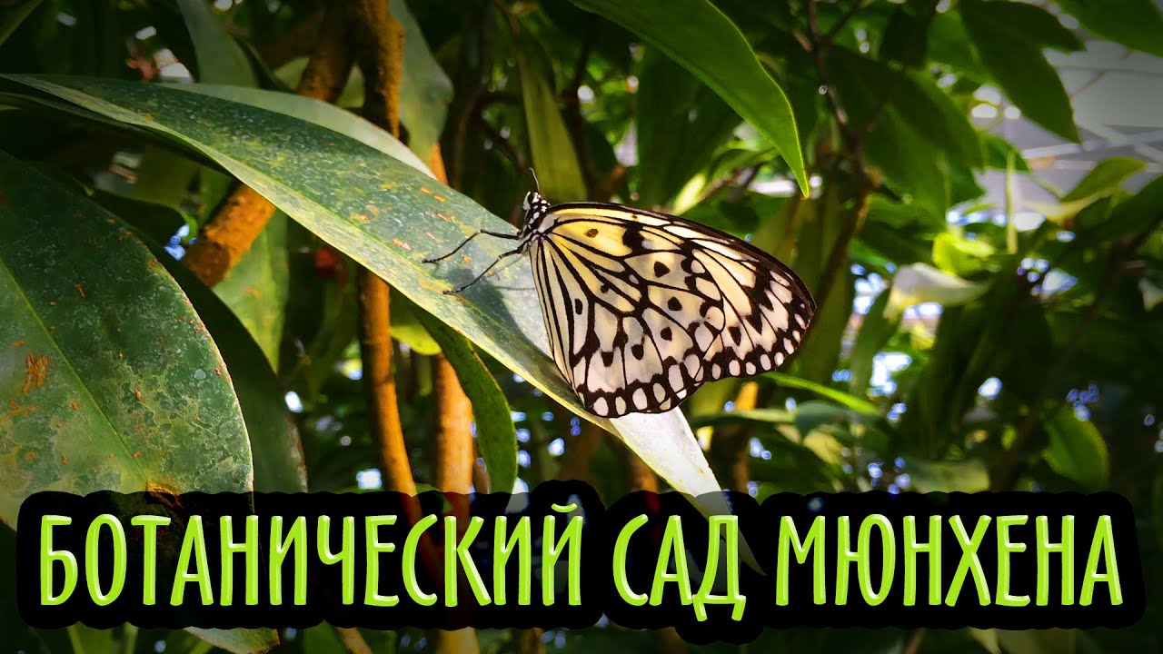Ботанический сад Мюнхена