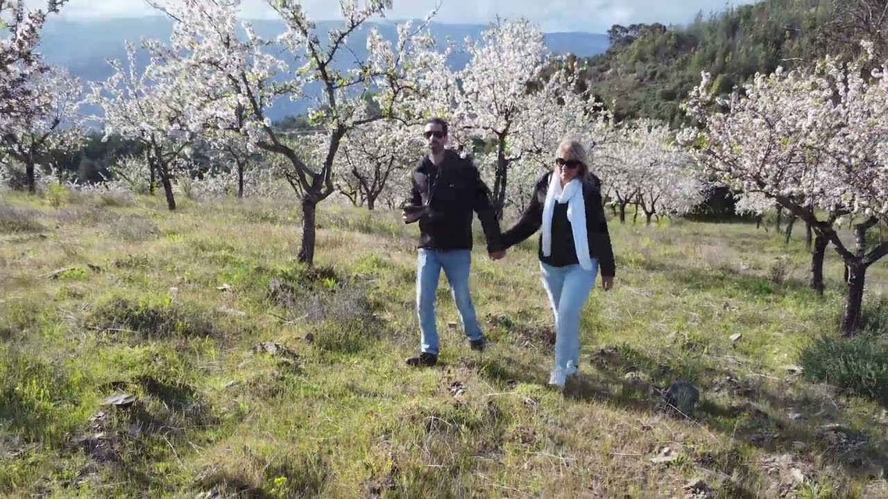 Amendoeiras em Flor | Torre Moncorvo | Drone | 4K