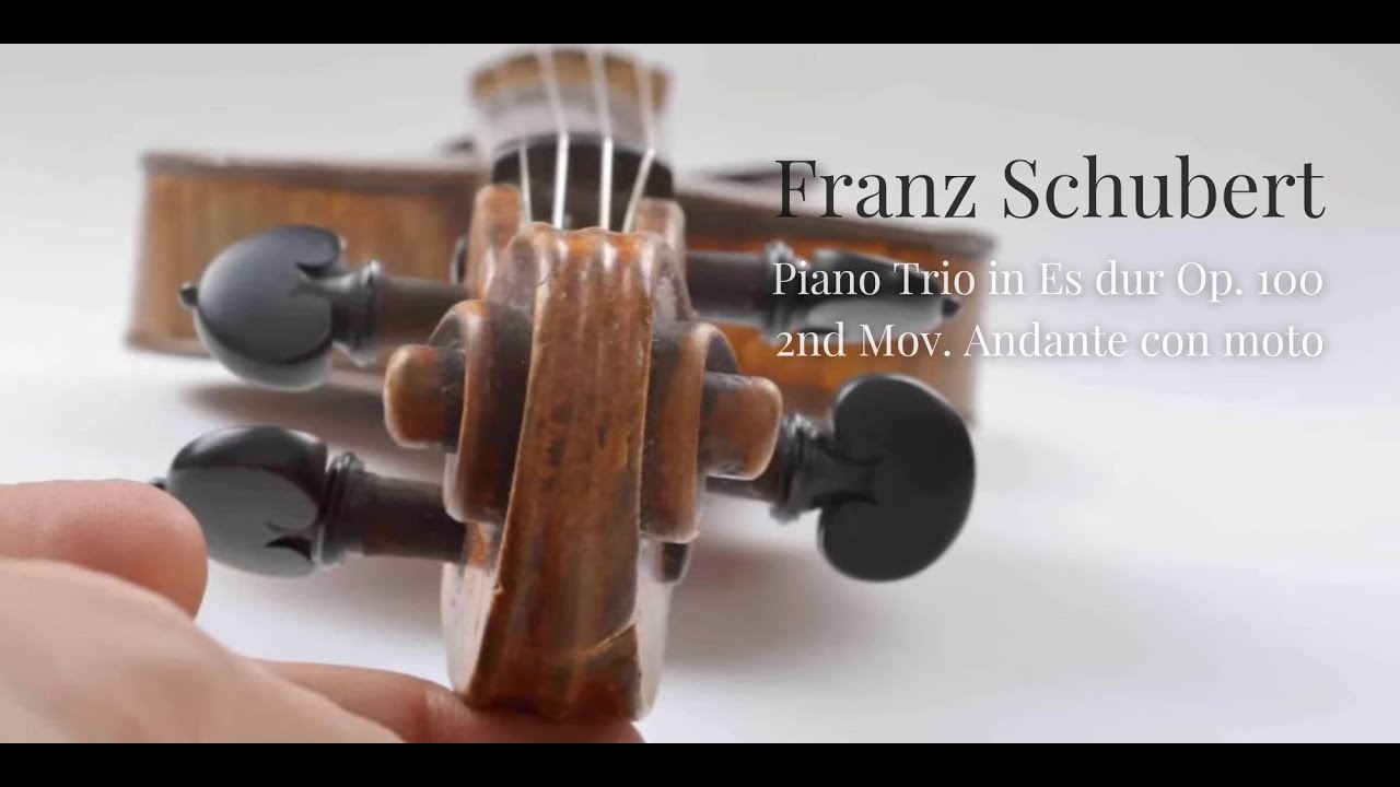 F. Schubert -  Piano Trio  in Es dur Op. 100 2nd Mov. - Andante con moto - Barry Lyndon Soundtrack