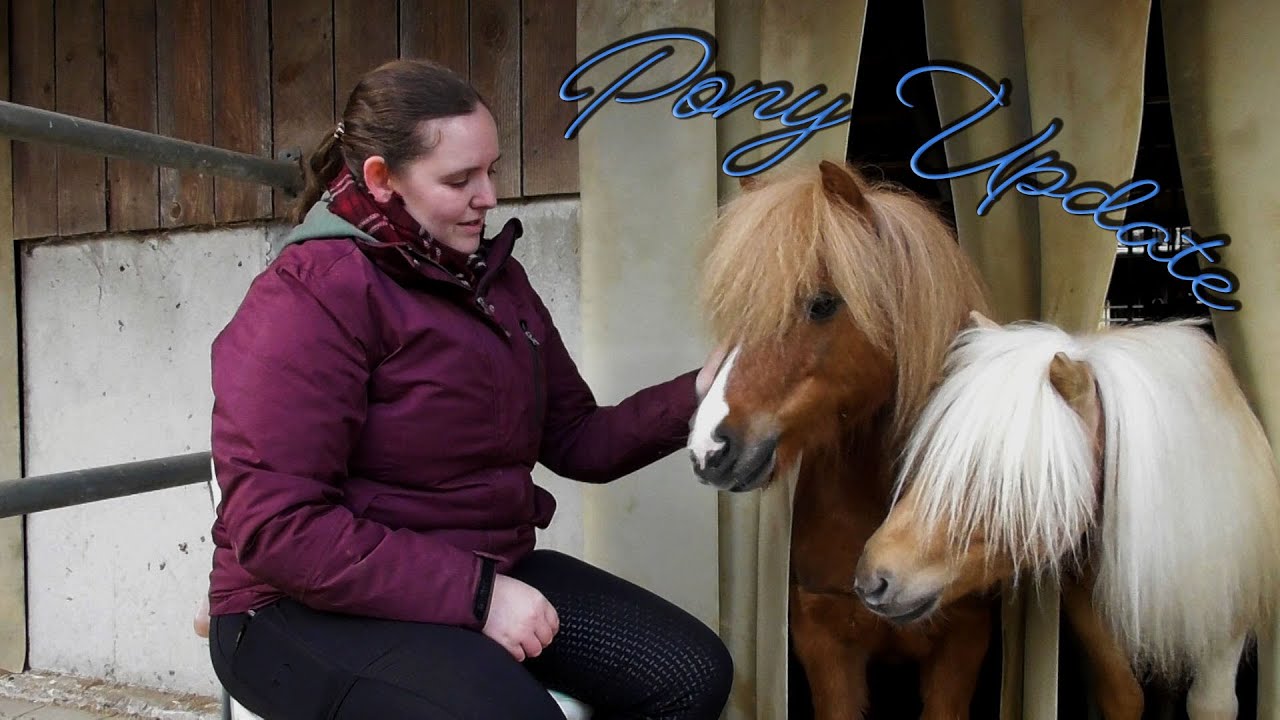 Ponyupdate - April 2021 | Endlich wieder ein Video