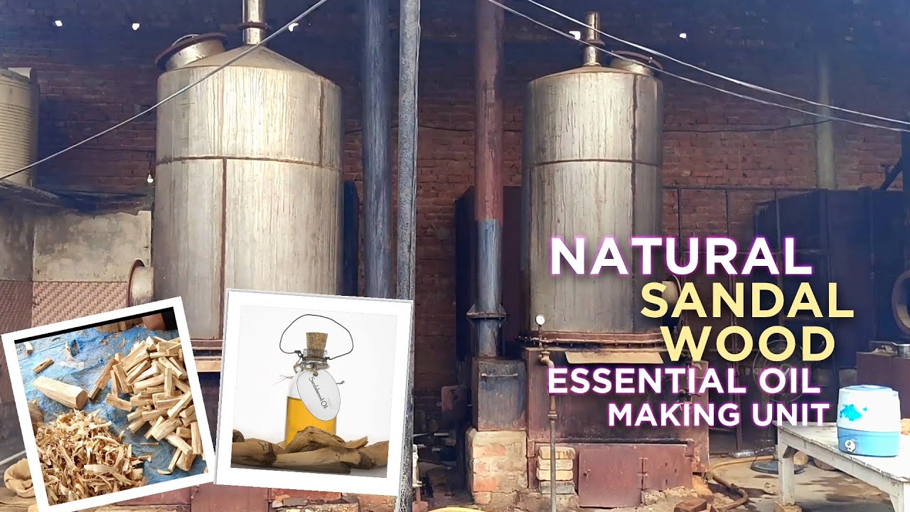 Natural Sandalwood Essential Oil Making Unit by #fragranceworld #perfumaxindia