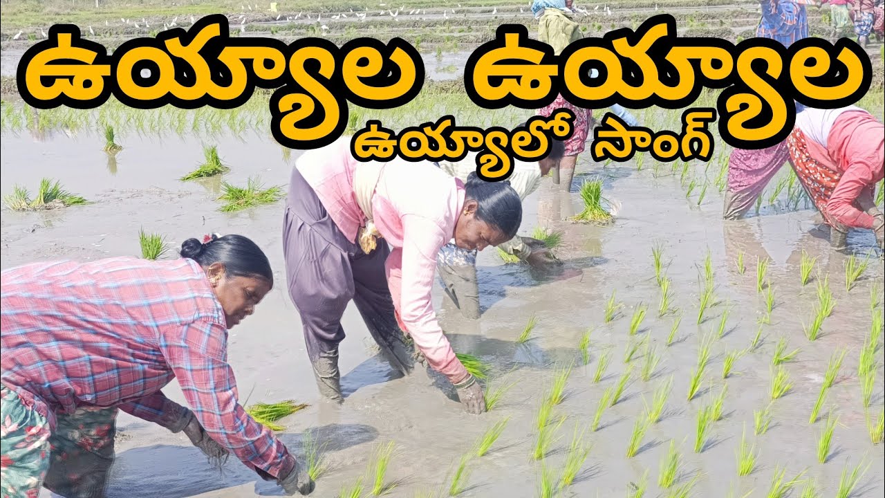 ఉయ్యాల ఉయ్యాల ఉయ్యాలో సాంగ్ #TrendingLatestTeluguFolkSong