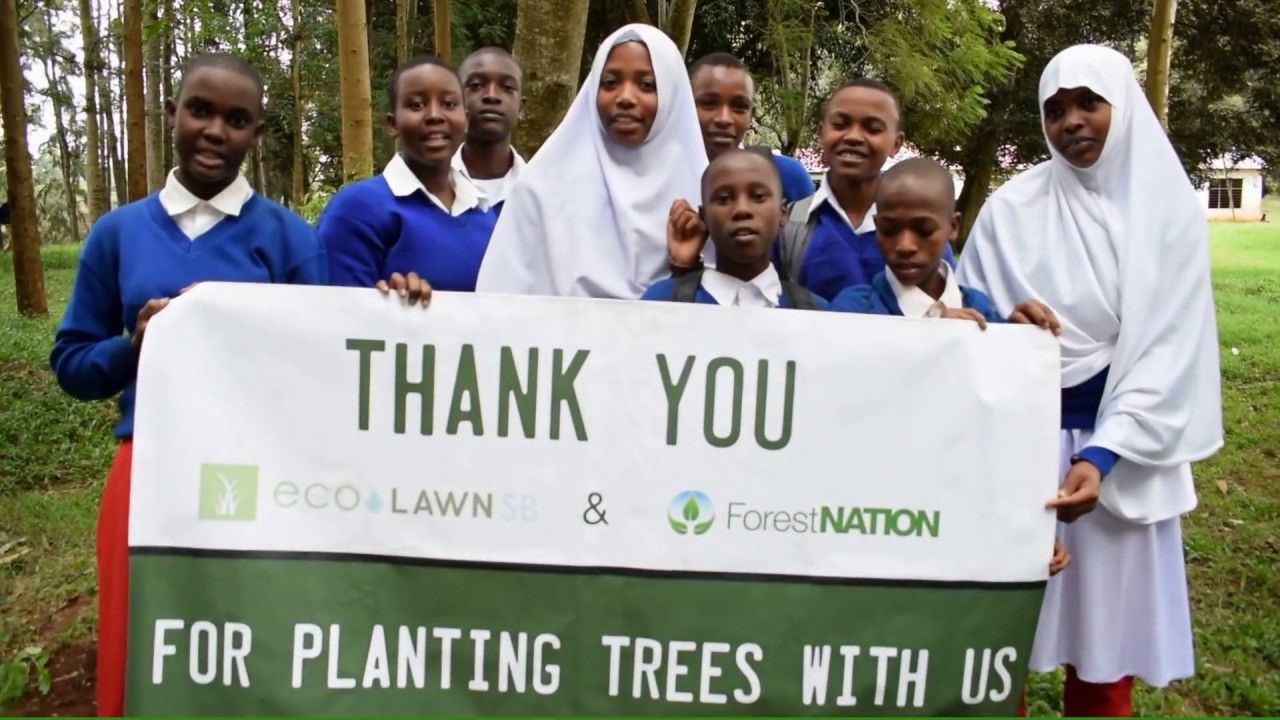 Thanks EcoLawn for Reforesting Mother Earth