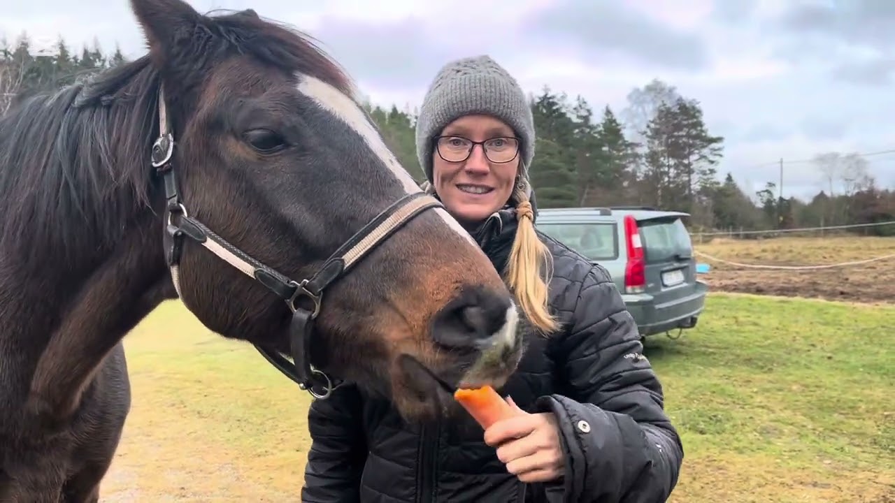 Hur vet man om sin h&auml;st har ont i framt&auml;nderna?