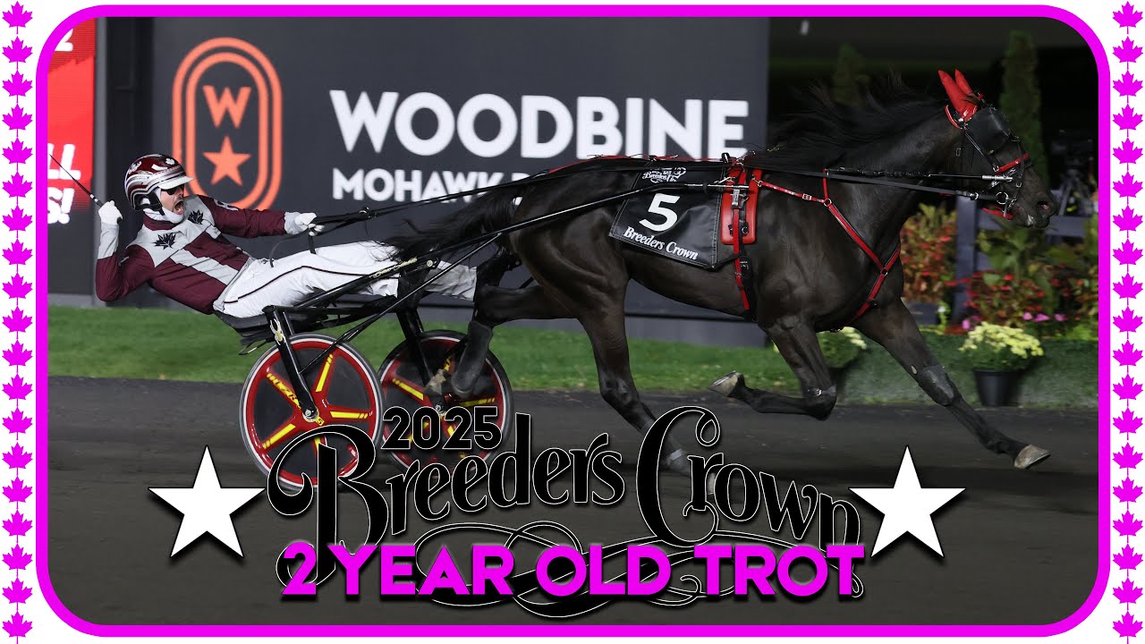 2025 Breeders Crown | Storybook Love | 2FT