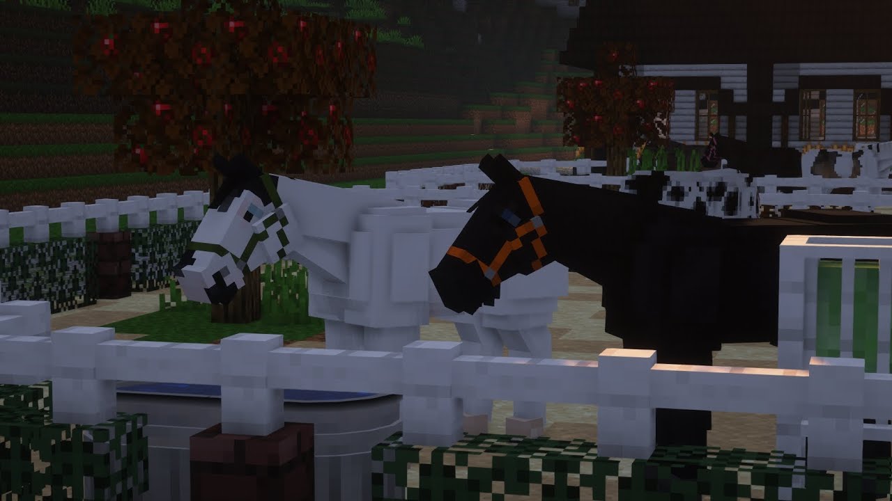Влог тренировки на сервере RUBYUNICORN!!🐎🐎 Автор: _Dark_Axolotl_
