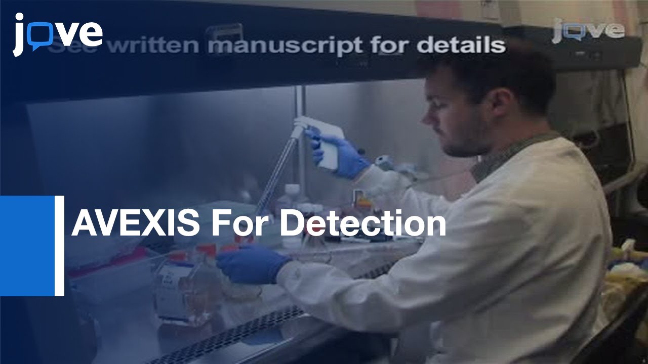AVEXIS-Scalable Detection:Low-Affinity Extracellular Receptor-Ligand Interactions l Protocol Preview