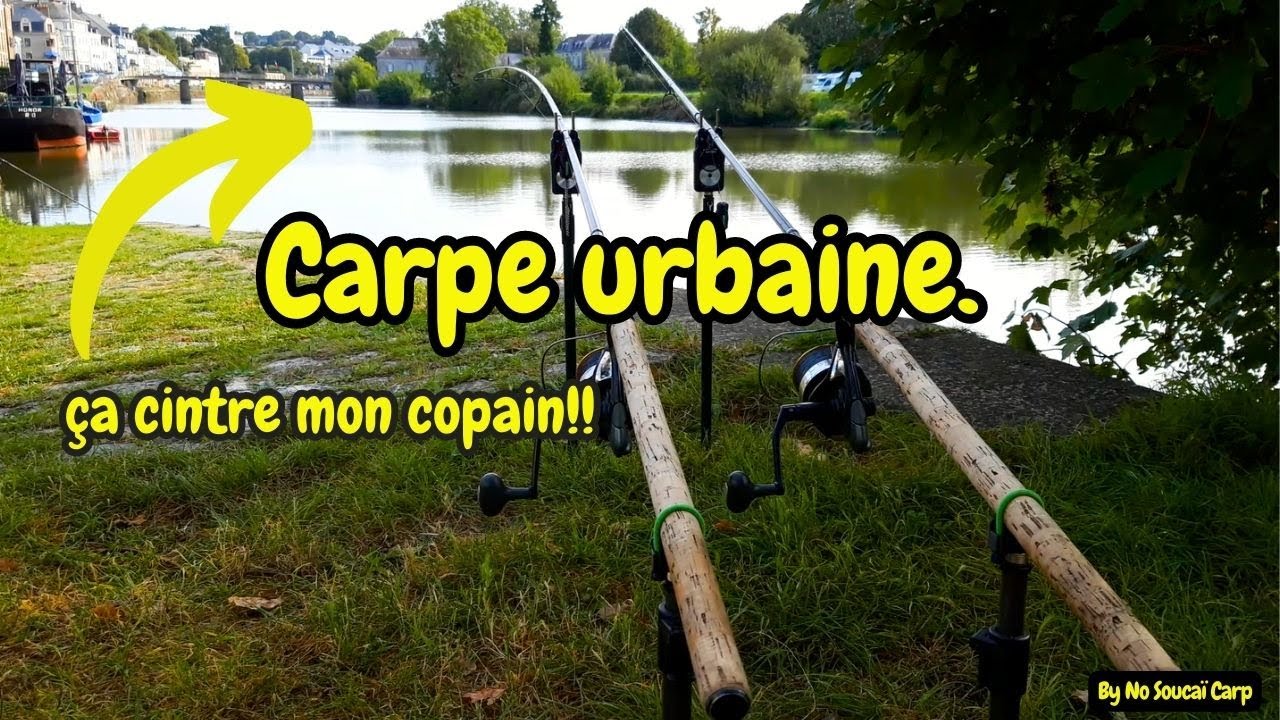 Carpe urbaine