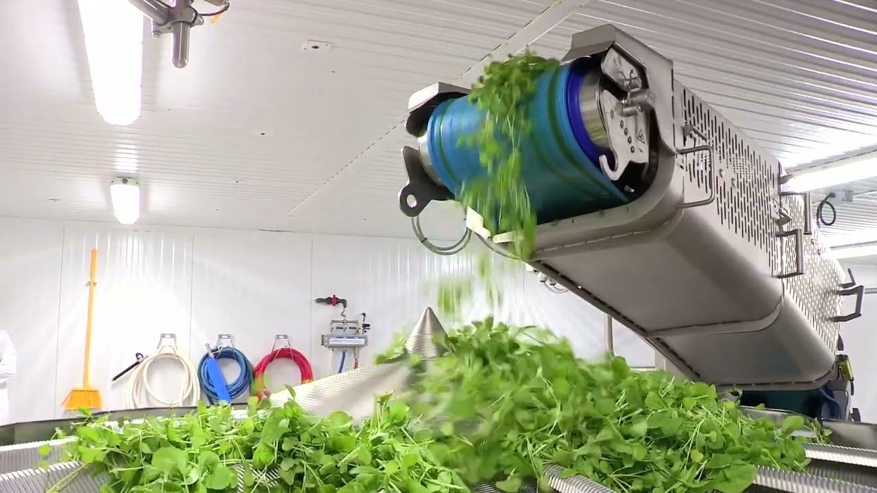 Canadian Packaging: Abby Equipment Solutions for Greenbelt Organic Greens