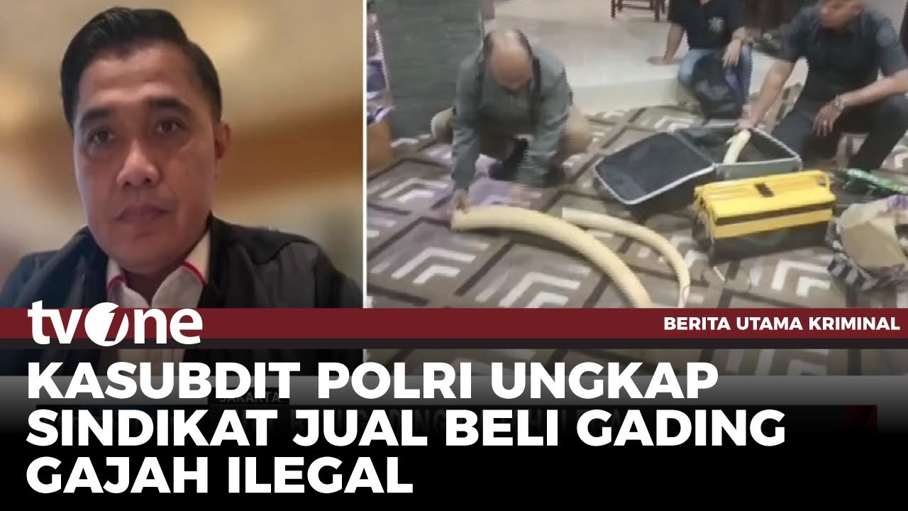 Jual Pipa Rokok Berbahan Gading Gajah, 4 Tersangka Diamankan Polisi | tvOne