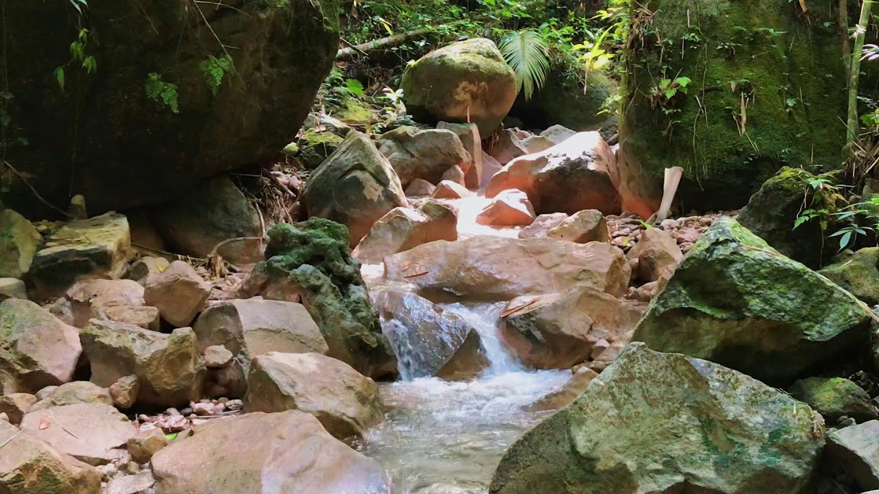 Tranquil Nature White Noise with Dreamy Nature ASMR for Peace of Mind, Anxiety Relief & Sleep
