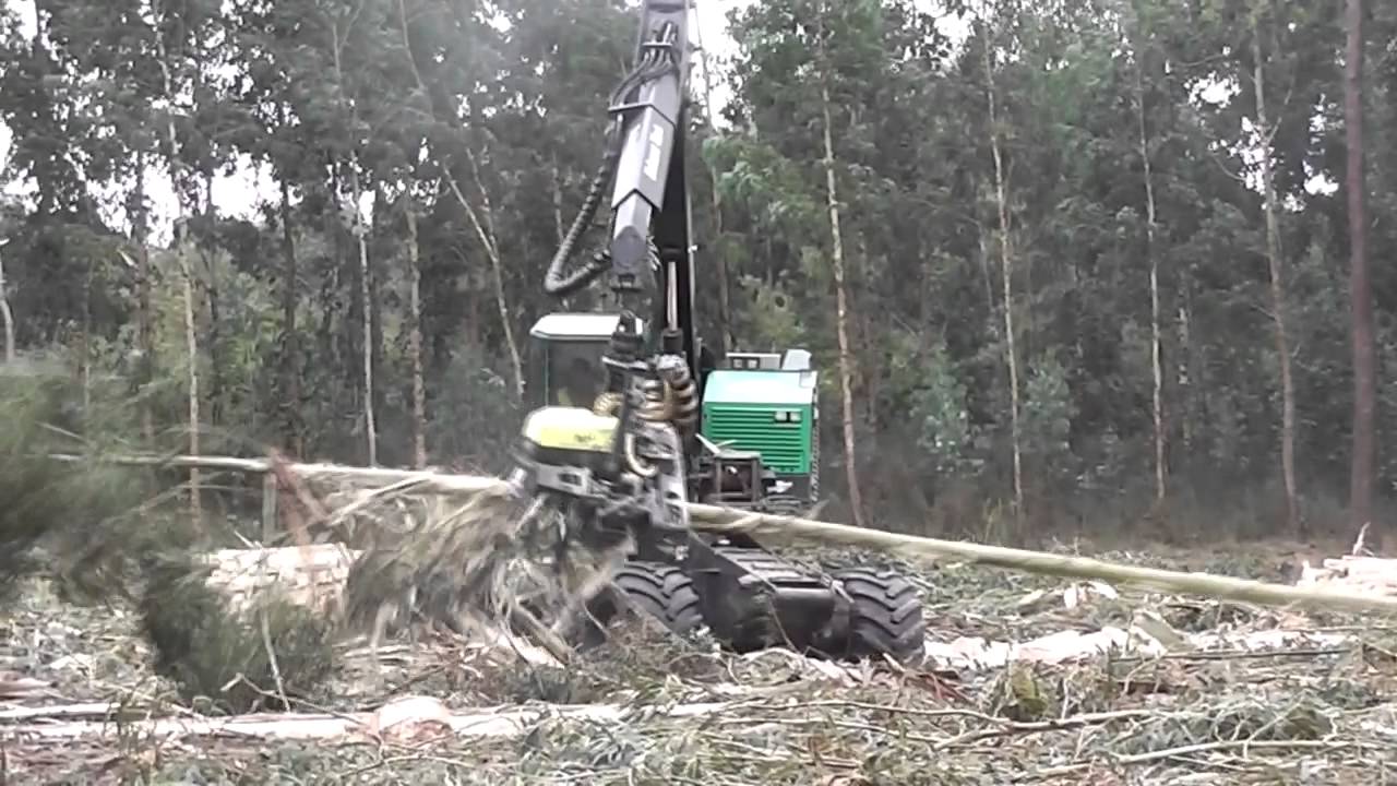 Procesadora de ruedas TIMBERPRO TB630B + Cabezal AFM 60