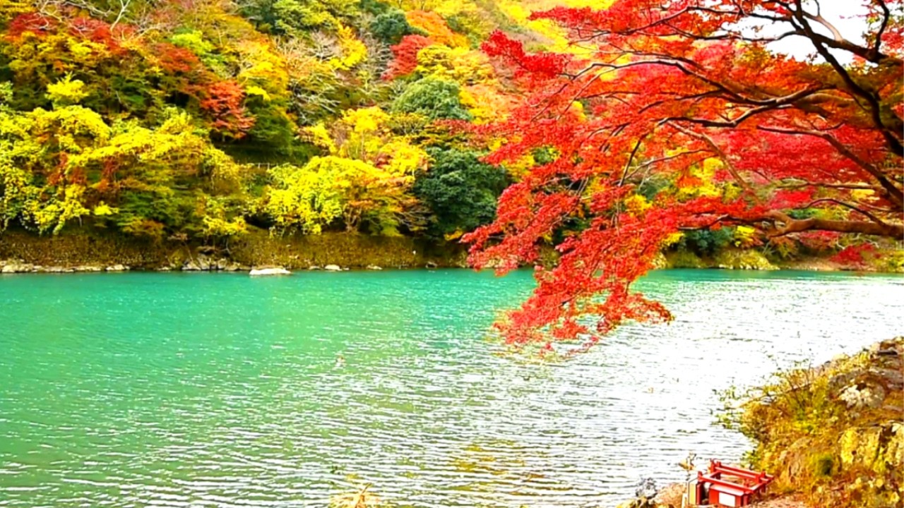 Autumn River of Quiet Beauty – Calm and Serene Fall Ambience