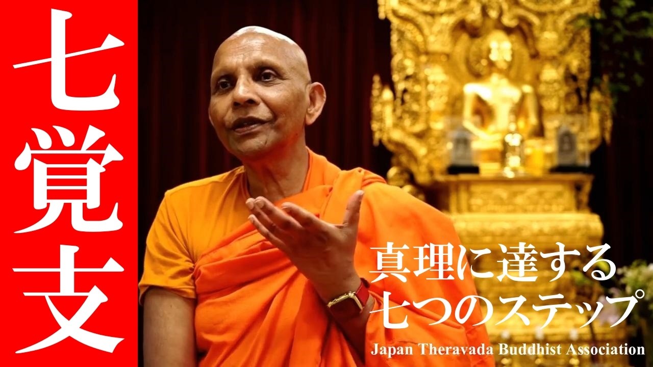 七覚支　真理に達する７つのステップ｜スマナサーラ長老の切り抜き法話（初期仏教Q&A）#仏教用語 #悟り #jtba ※テロップ入り