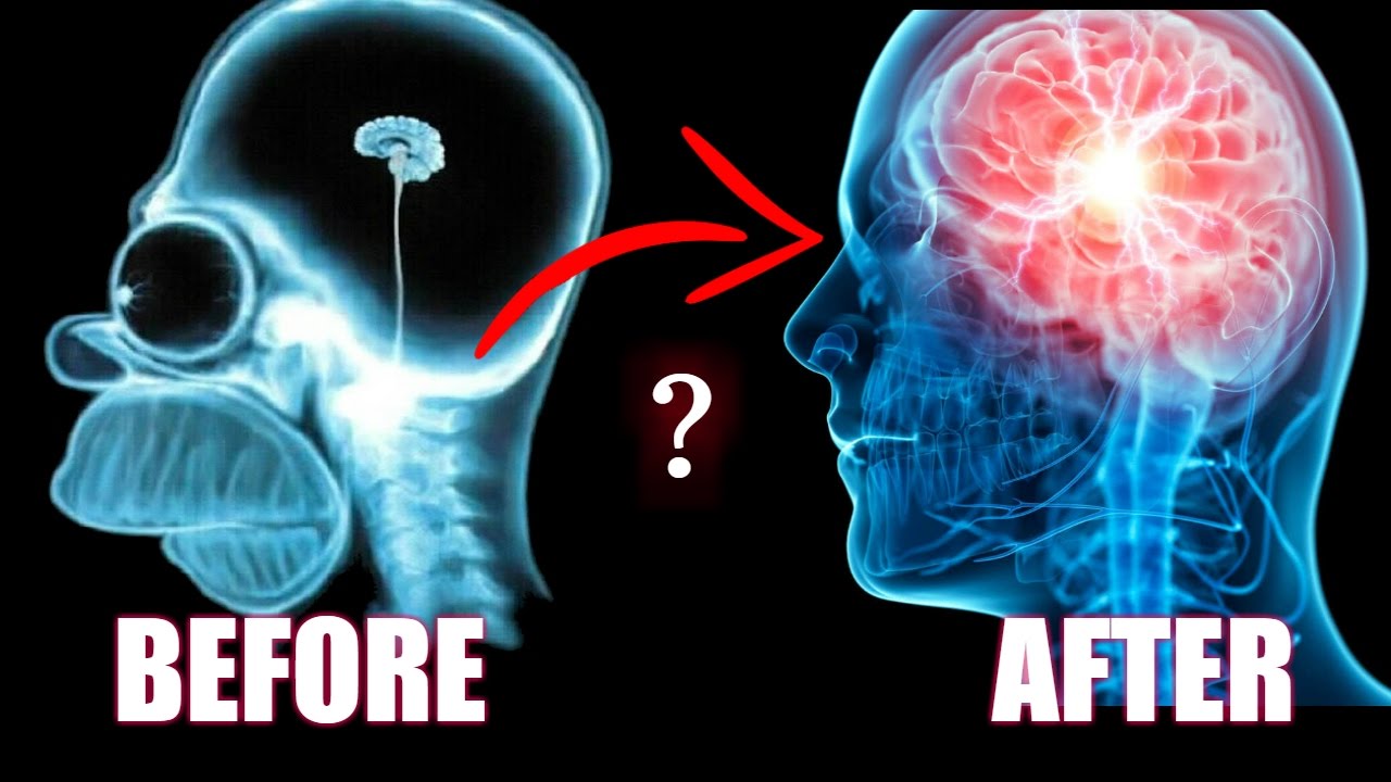 BDNF | How to Literally Grow The Size Of Your Brain & Improve Your Memory [Einstein-like Tips]