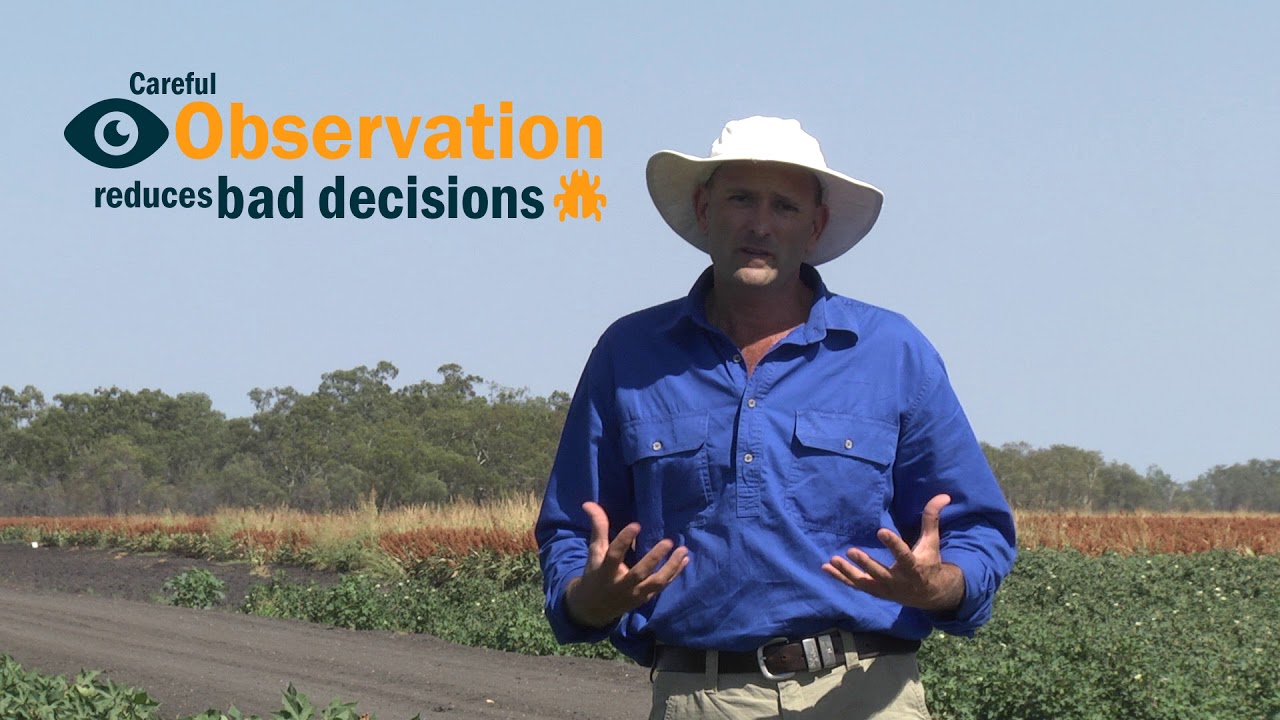 What is IPM? Things to consider when making pest management decisions.