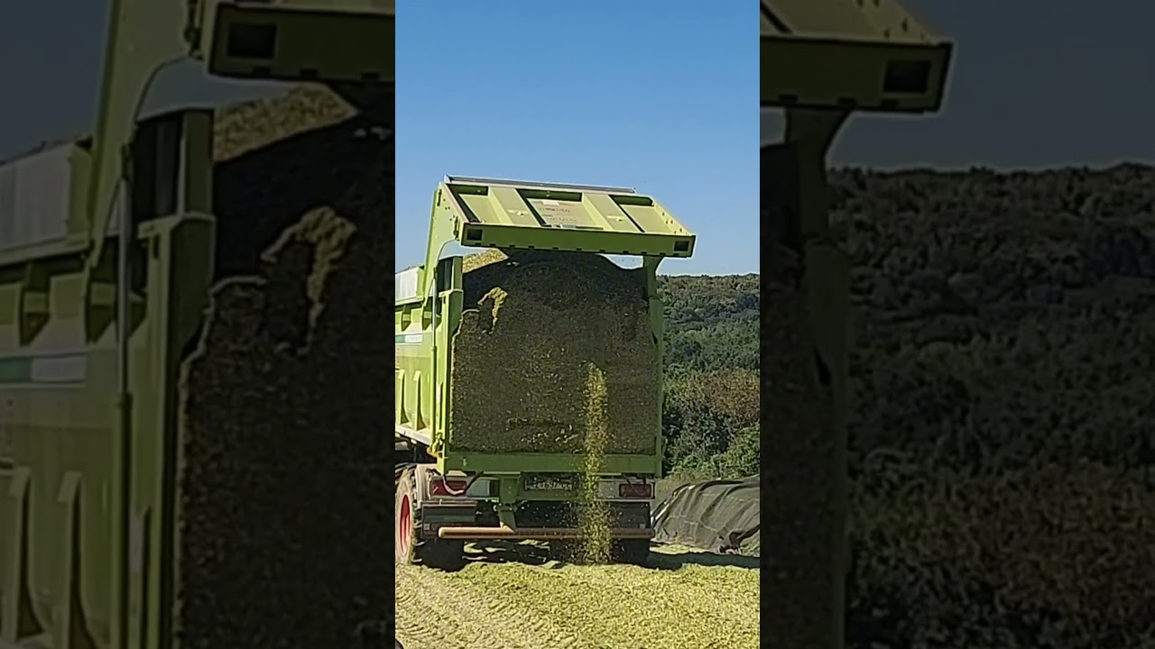 Claas Arion 660 and Vaia NL/160 Trailer in Silage Action #claasarion