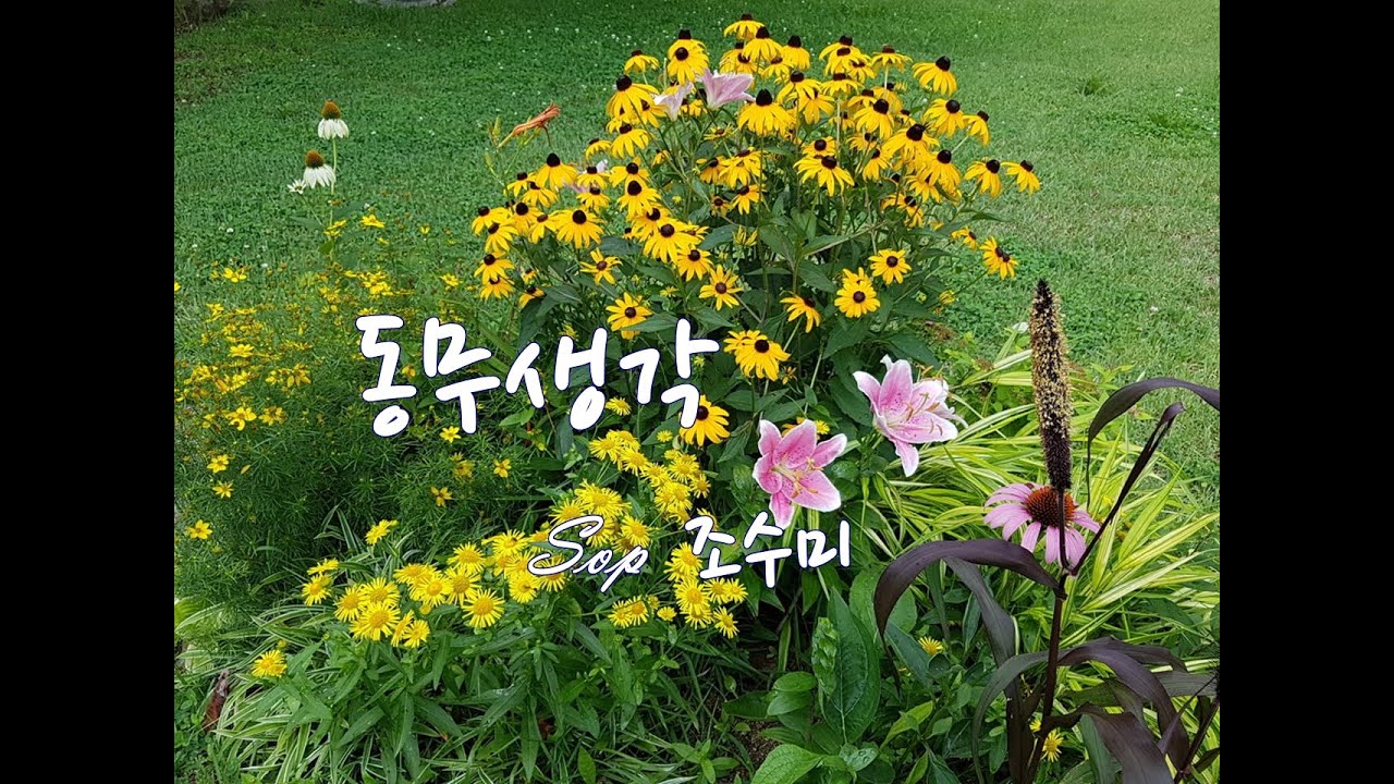 동무생각 -  Sop 조수미 (이은상 시  박태준 곡)(배경 대구광역시 청라언덕)