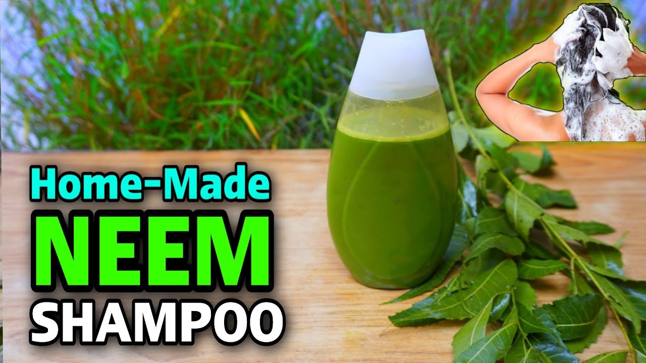 Homemade Neem Shampoo: How To Make Neem Shampoo At Home| Neem Shampoo For Hair| Herbal Shampoo|Neem