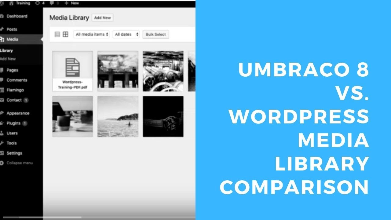 ipso Educated | Umbraco vs. Wordpress - Media Library Comparison
