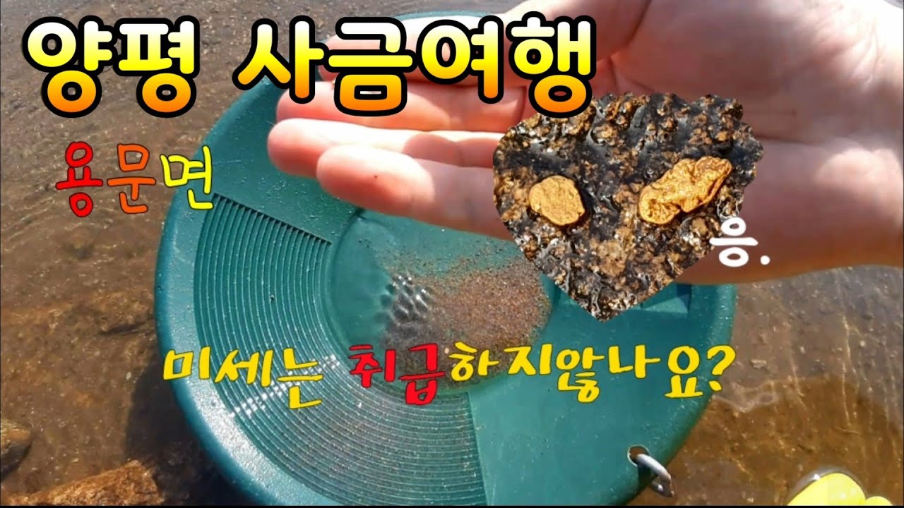 골드너겟 두점이면 ok! 양평 사금여행 금 캐기/금 채취/너겟/사금채취/중원계곡
