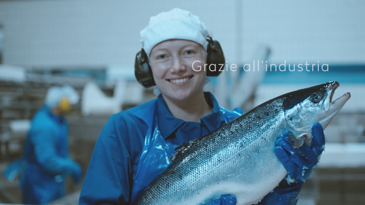 Salmone Norvegese