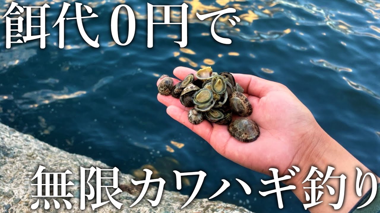 【餌代0円】釣り場でよく見る生き物でカワハギが入れ食いになりました