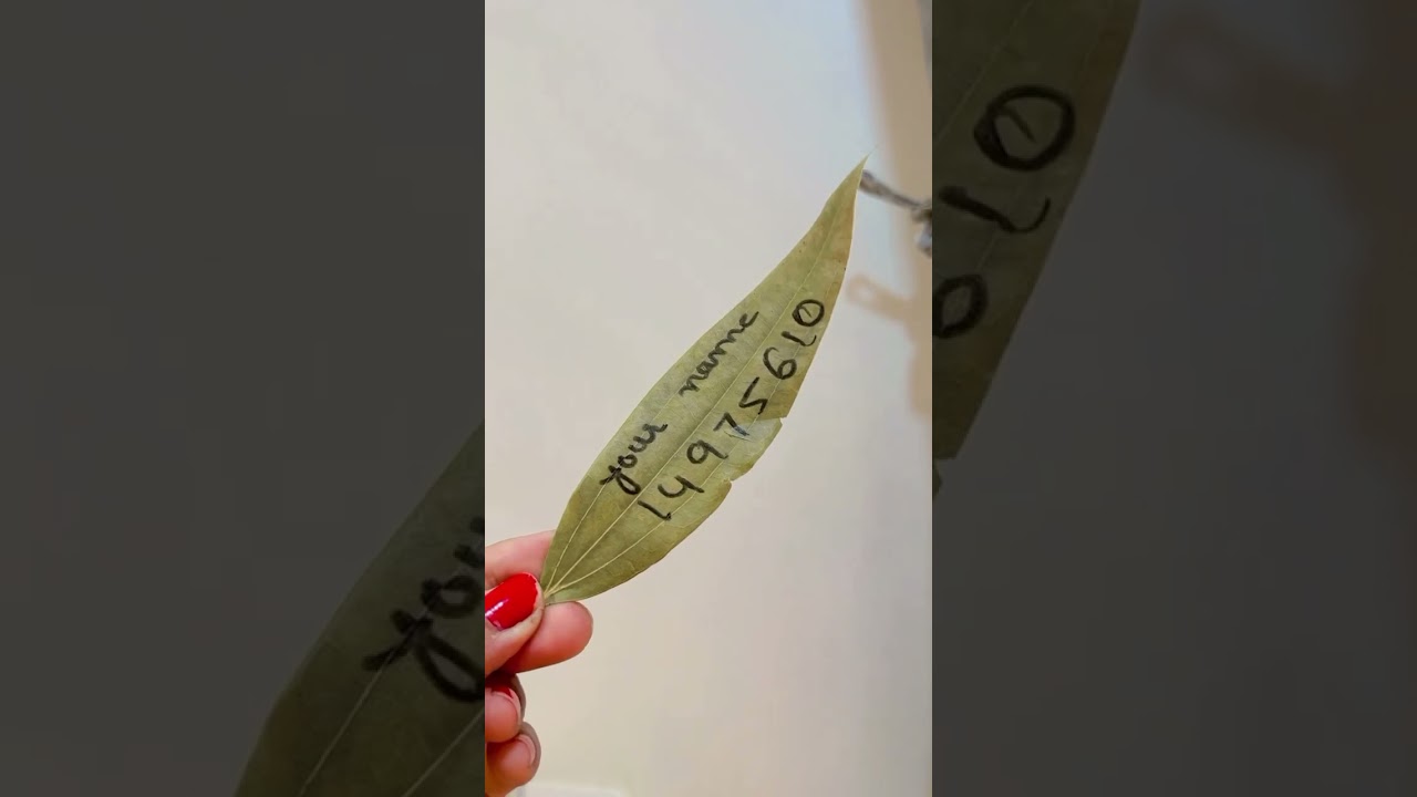 Manifest a huge amount with a single bay leaf 🍃 #tarot #astrology #money #wealth #prosperity