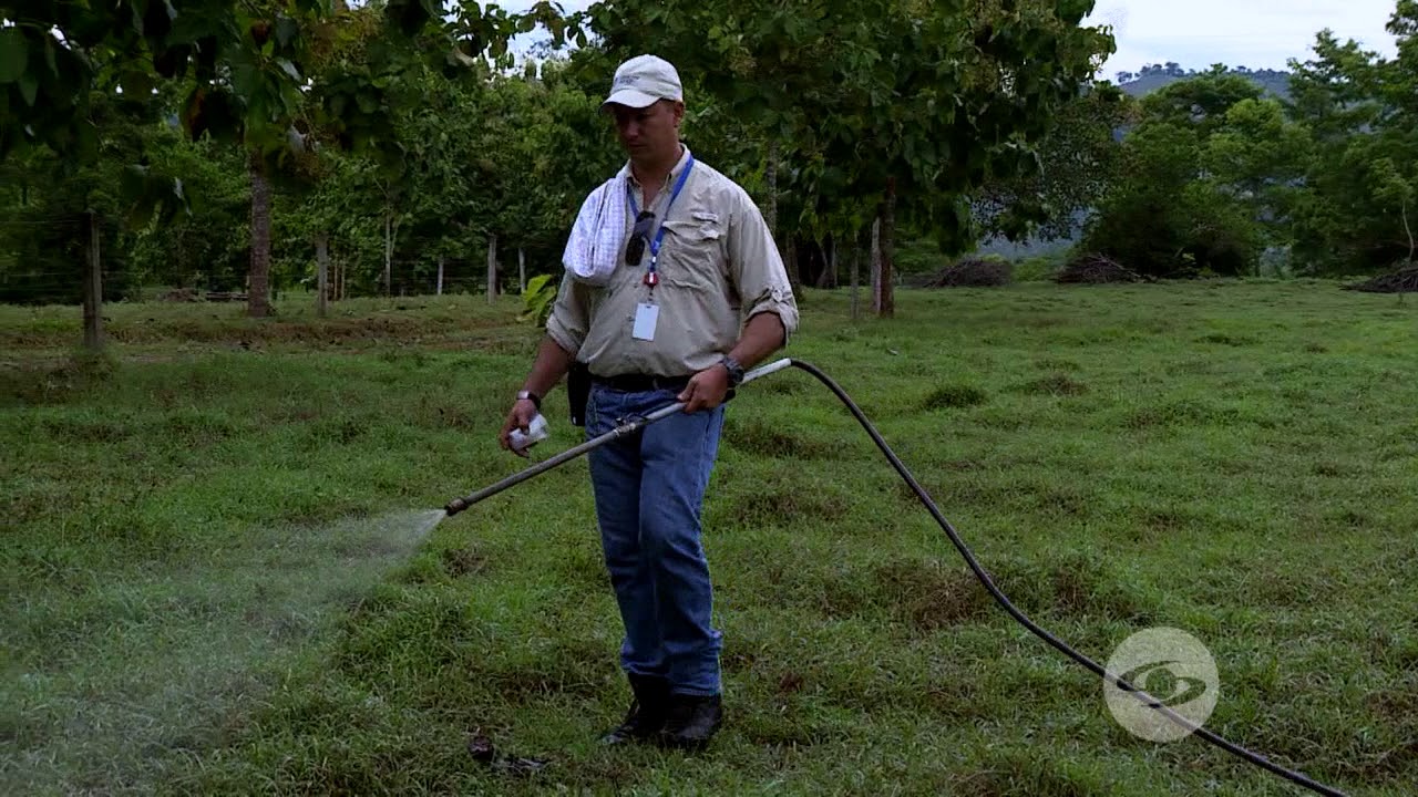 Recuperaci&oacute;n de los nutrientes del suelo | La Finca de Hoy