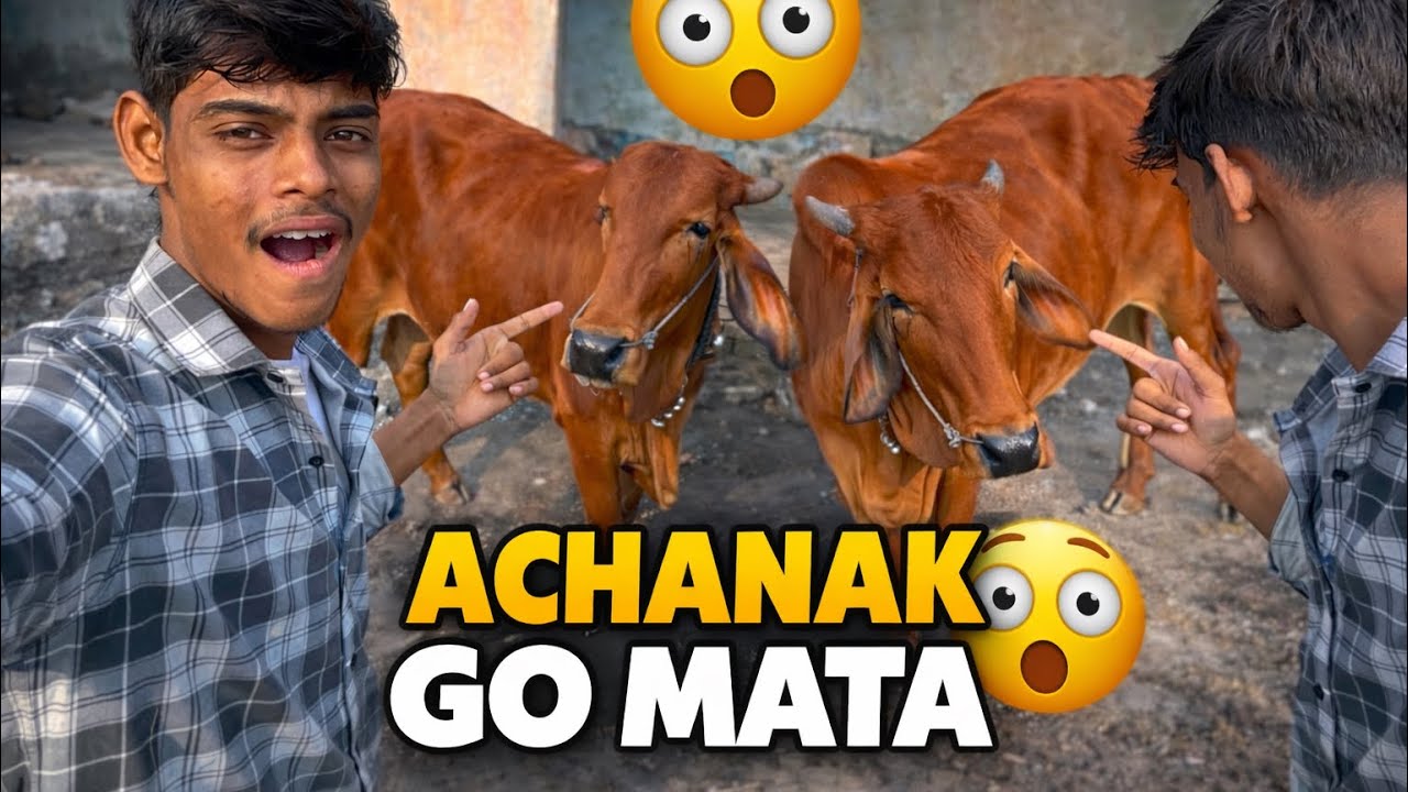 😱 Achaanak Ghar Ke Bahar Go Mata Aa Gayi! | Cute Moment 🐄 