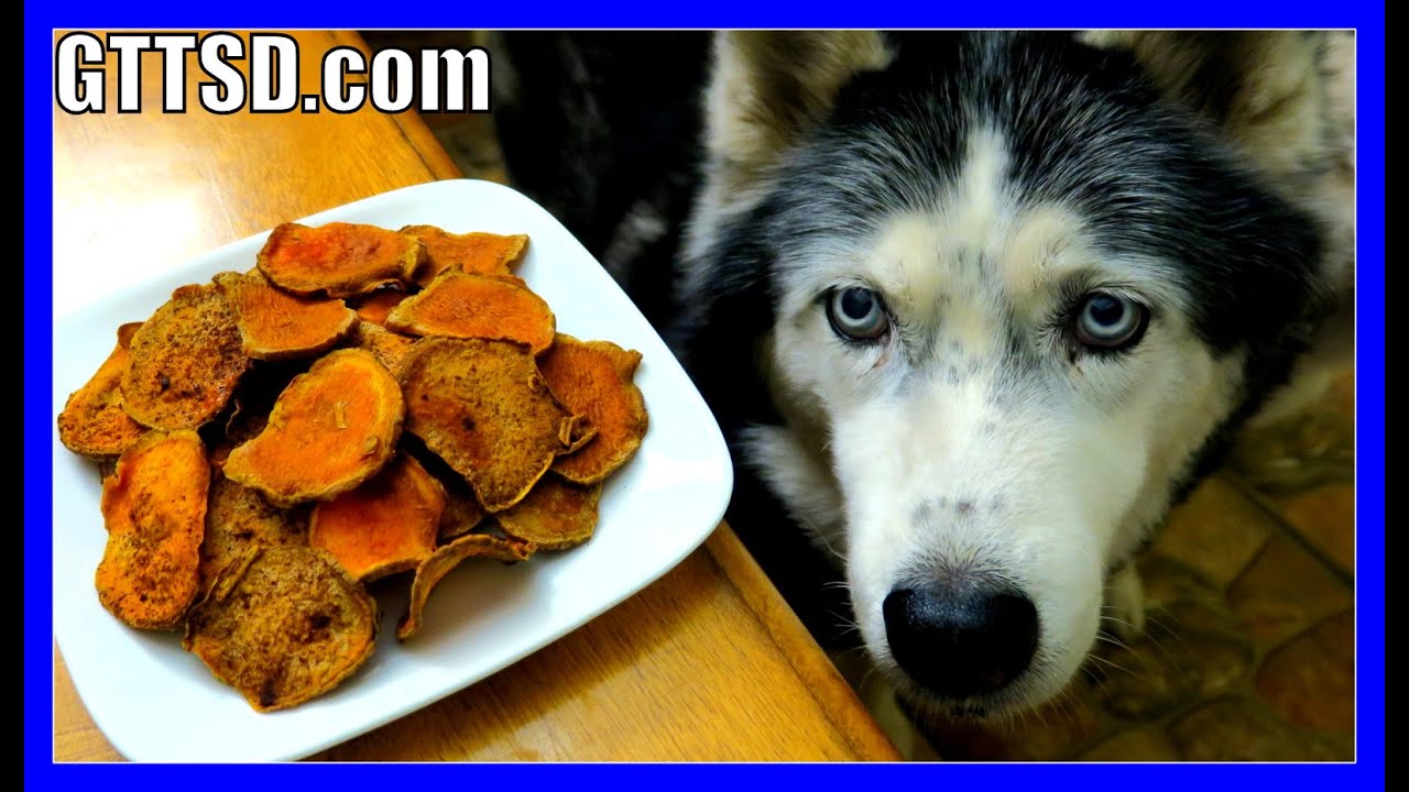 DIY SWEET POTATO DOG TREATS | Snow Dogs Snacks 39 | Gluten Free Dog Treats