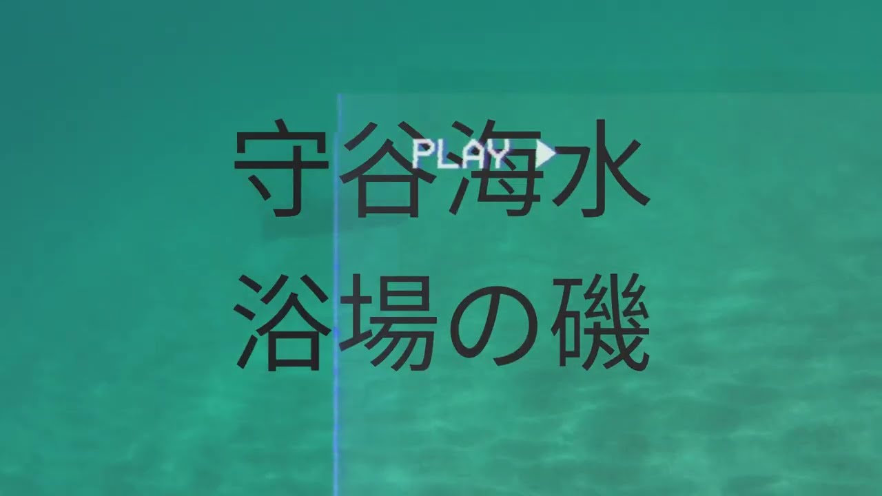 一人でシュノーケル＆素潜り　勝浦市　守谷海水浴場の左側の磯（千葉県）　ウミウシ！イセエビ！ウミスズメに出会えました！！2024年5月4日