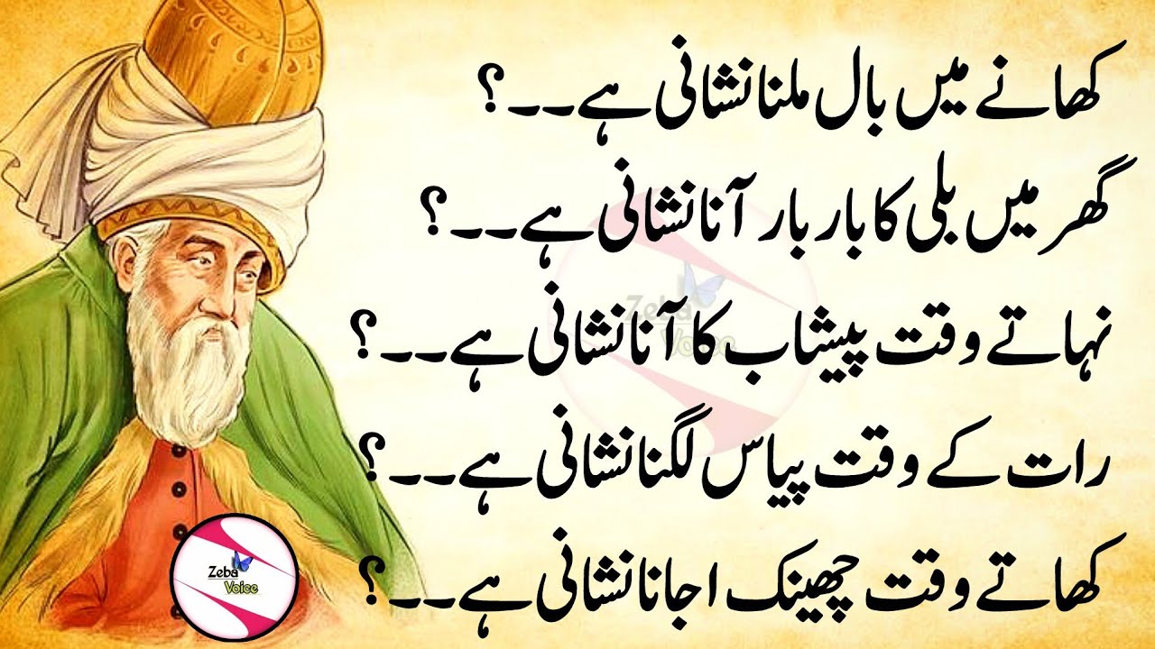 Motivational&nbsp; Quotes || Quotes About Life || Rumi Quotes Urdu || Golden Words