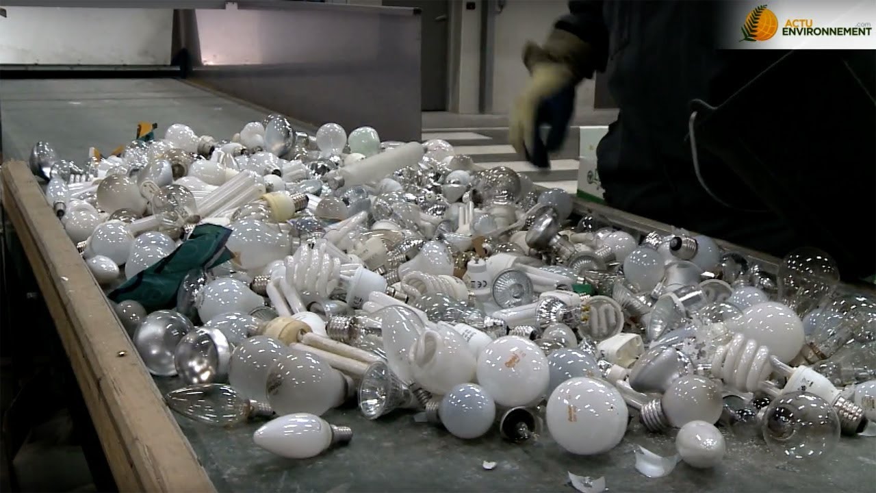 Ampoules basse conso : le potentiel de recyclage reste élevé