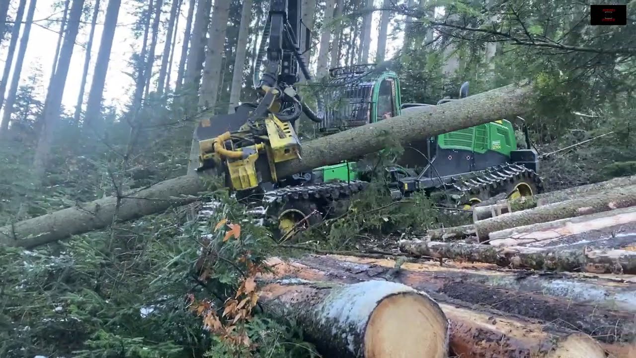 🌲Starkes Holz ◇ Starke Mannschaft ◇ Starke Maschinen 🌲 5 / 6