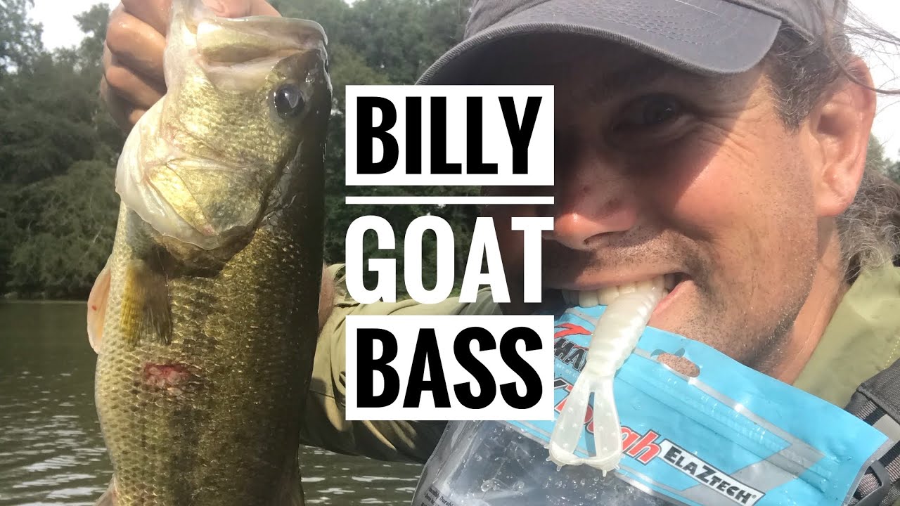 Skipping the Billy Goat into Shade