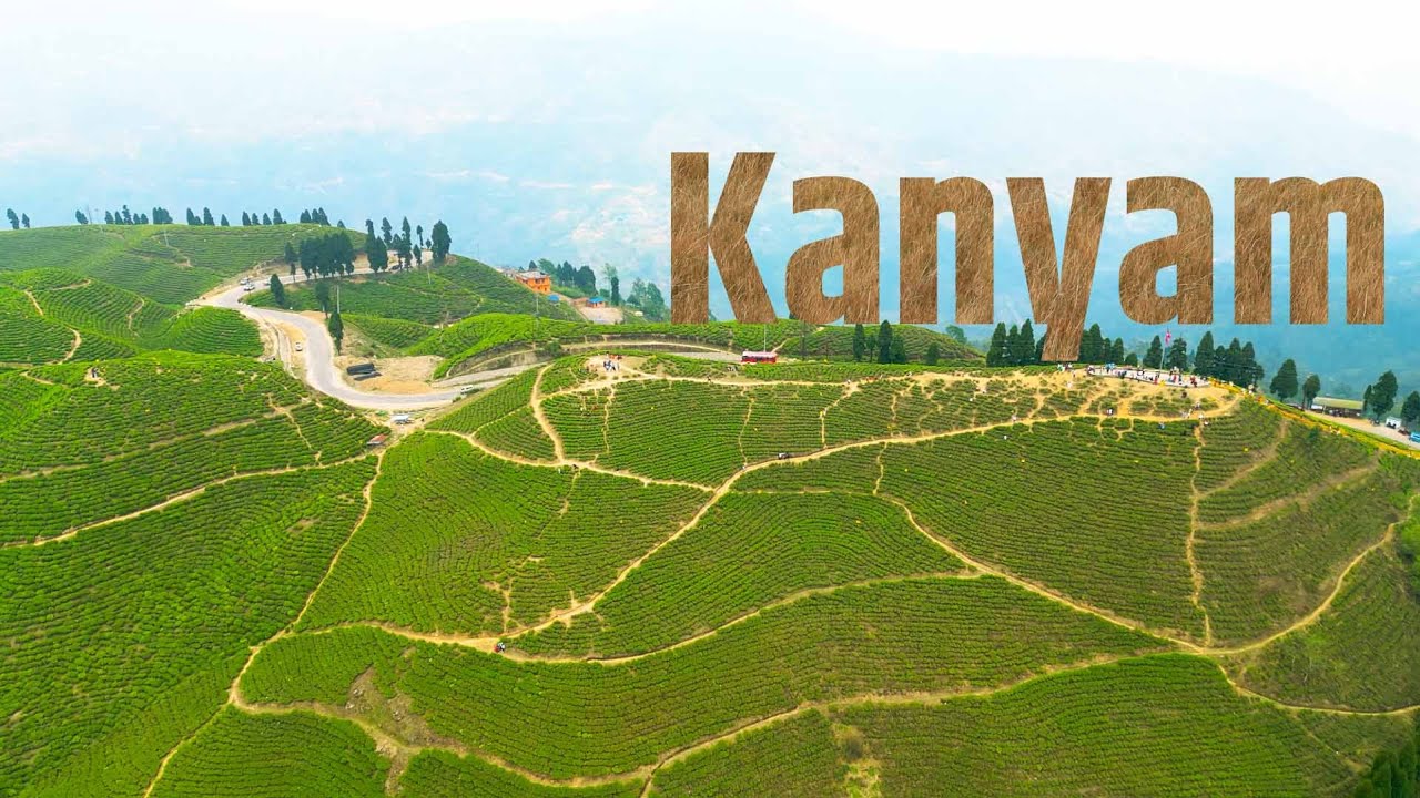 The Tea Estate of Kanyam - Ilam - Nepal - 4K