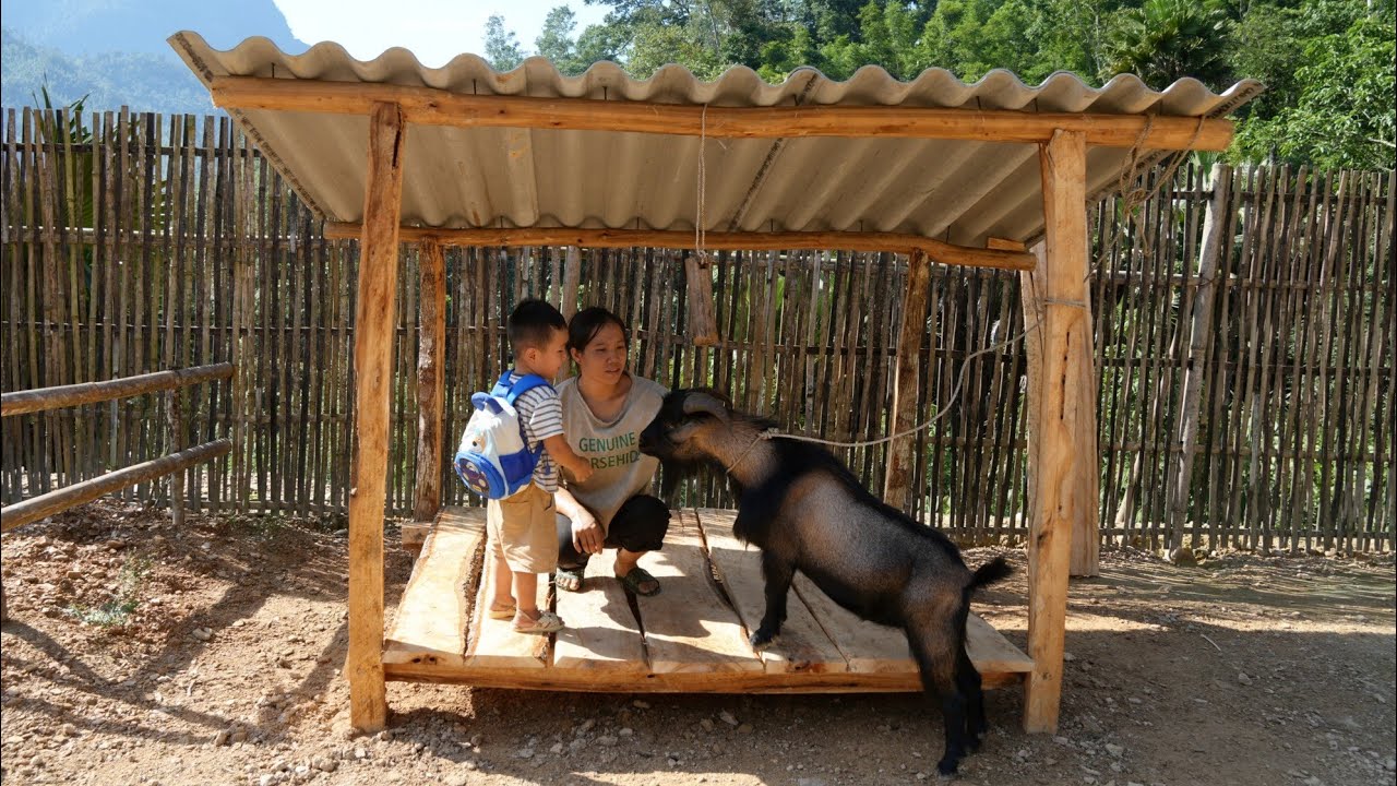 Life in the forest: building a pen for the goat&mdash;a poor mother welcomes a new goat to the family.
