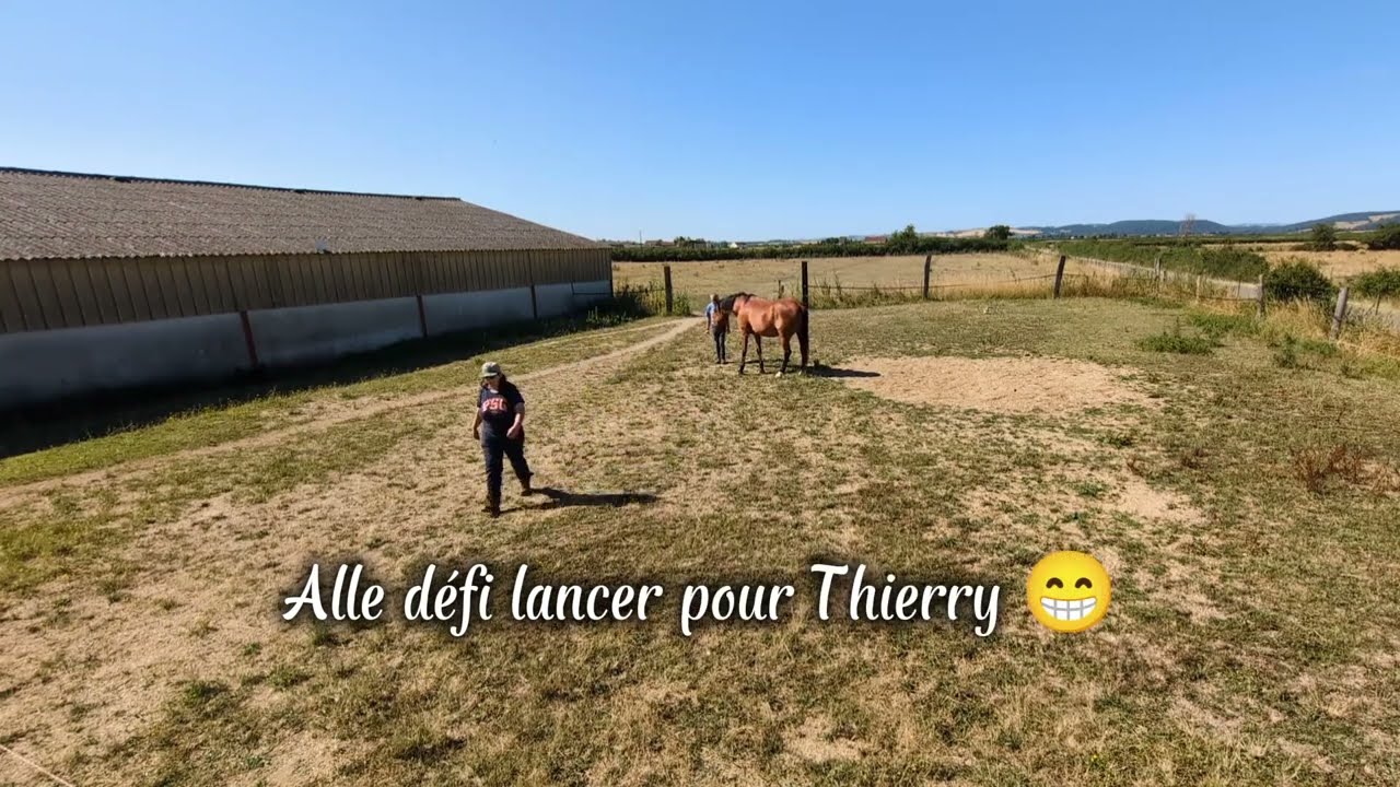 Deuxième jour de travail en liberté entre Joyaux et Thierry 🐎😊