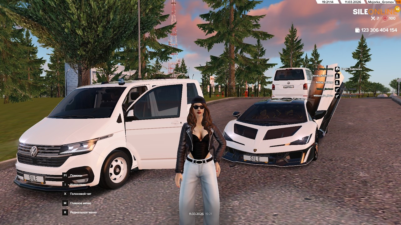 🎯 СТРИМ С РУКОВОДСТВОМ SILE GAMES! СЛЁТ НОМЕРНЫХ ЗНАКОВ!