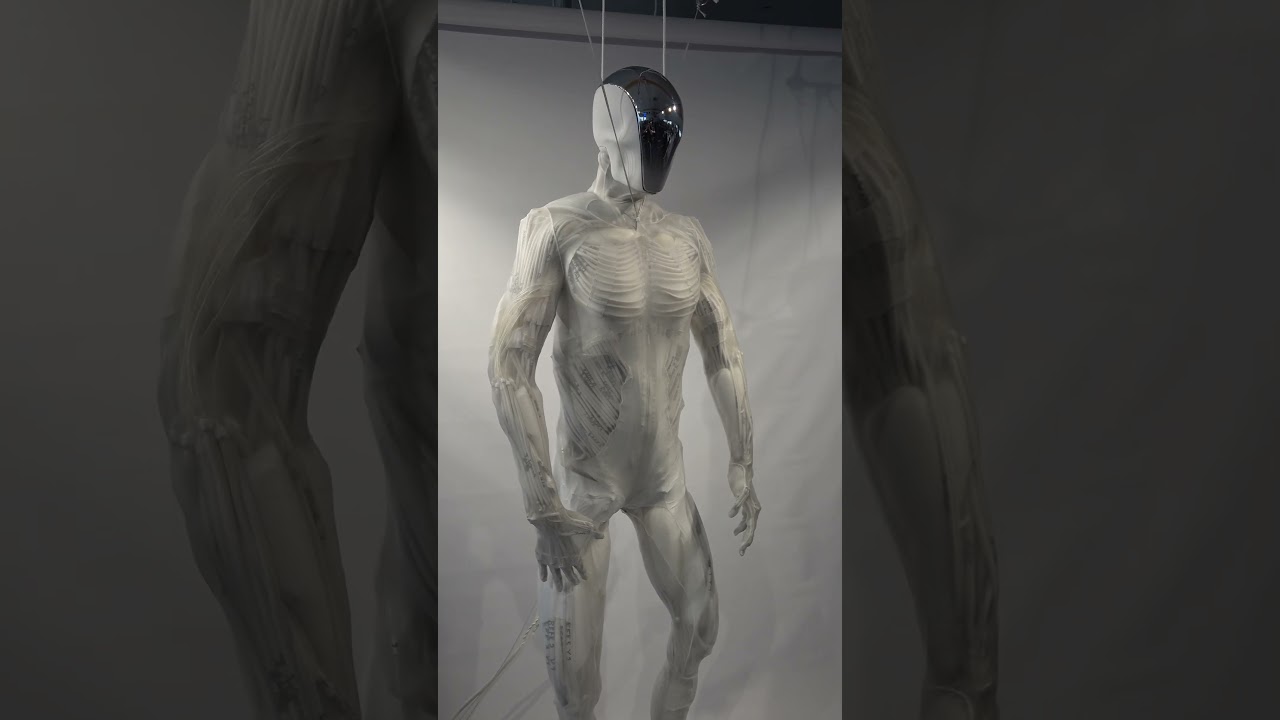 Protoclone in 4K | Synthetic Human with Artificial Muscles