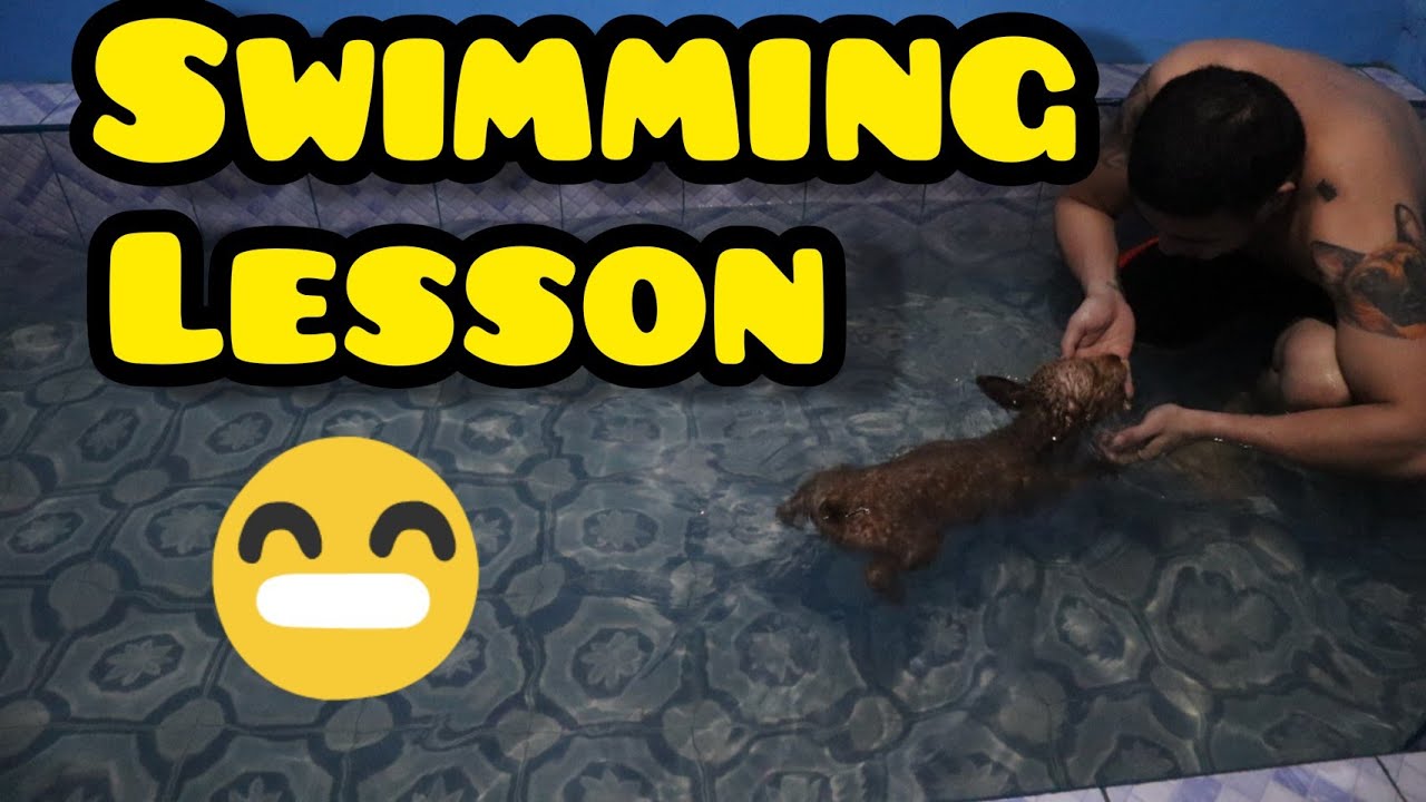 AGGRESSIVE CUTE DOG PART 2 (tinuruan ko mag swimming si Castle)