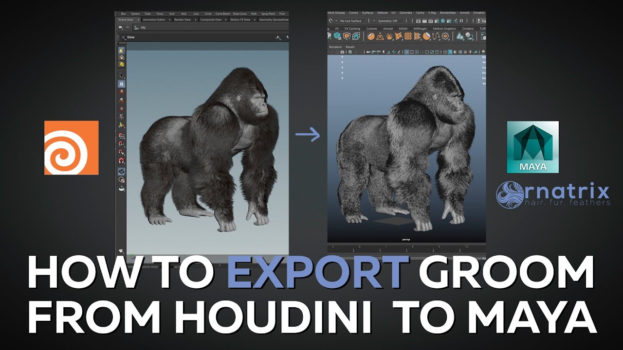Экспорт волос из Houdini в Maya / Ornatrix / 3D