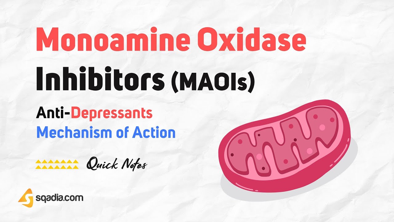 Anti-Depressants Mechanism of Action | Monoamine Oxidase Inhibitors (MAOIs)