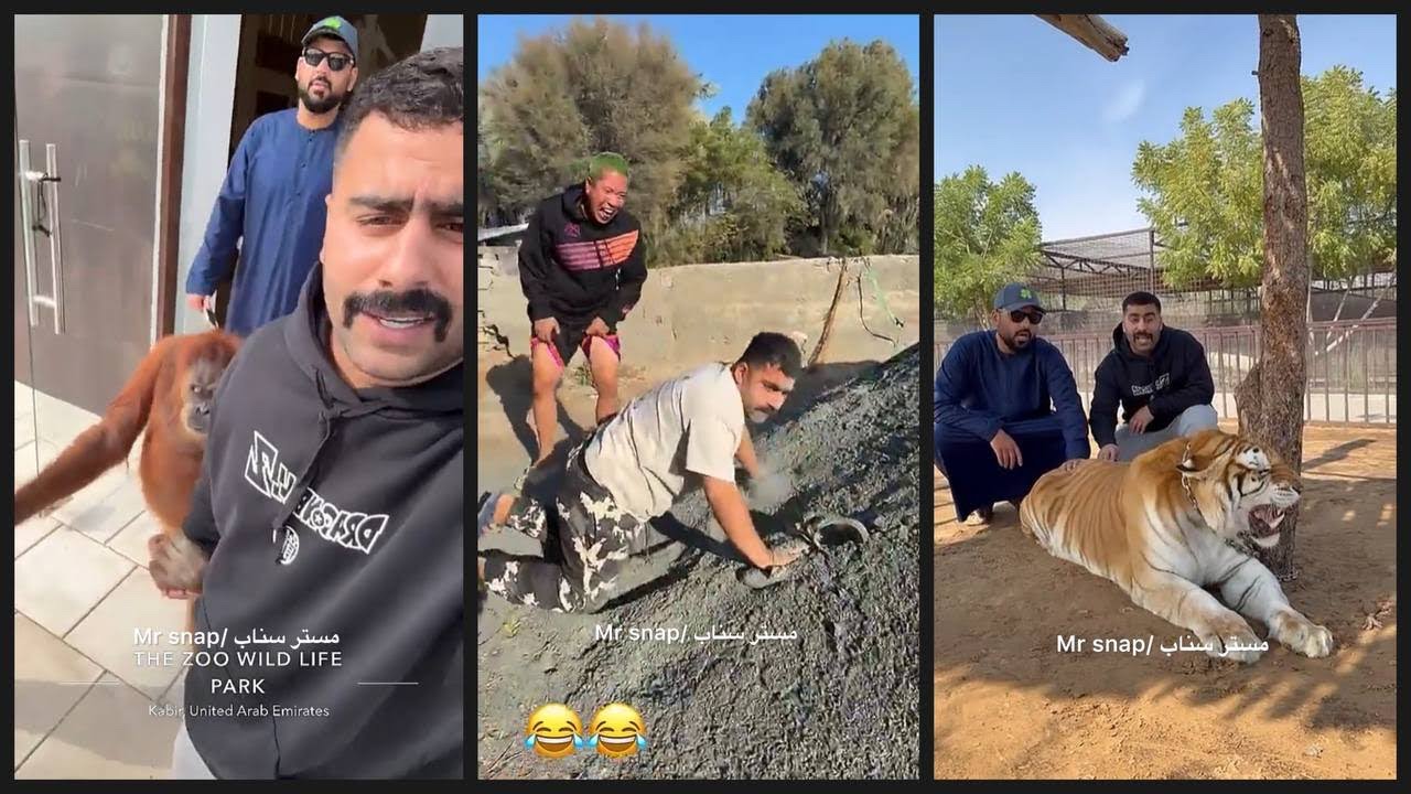 سنابات بوشنب و بن عمي حيوانات ومقالب🤣🤣🔥