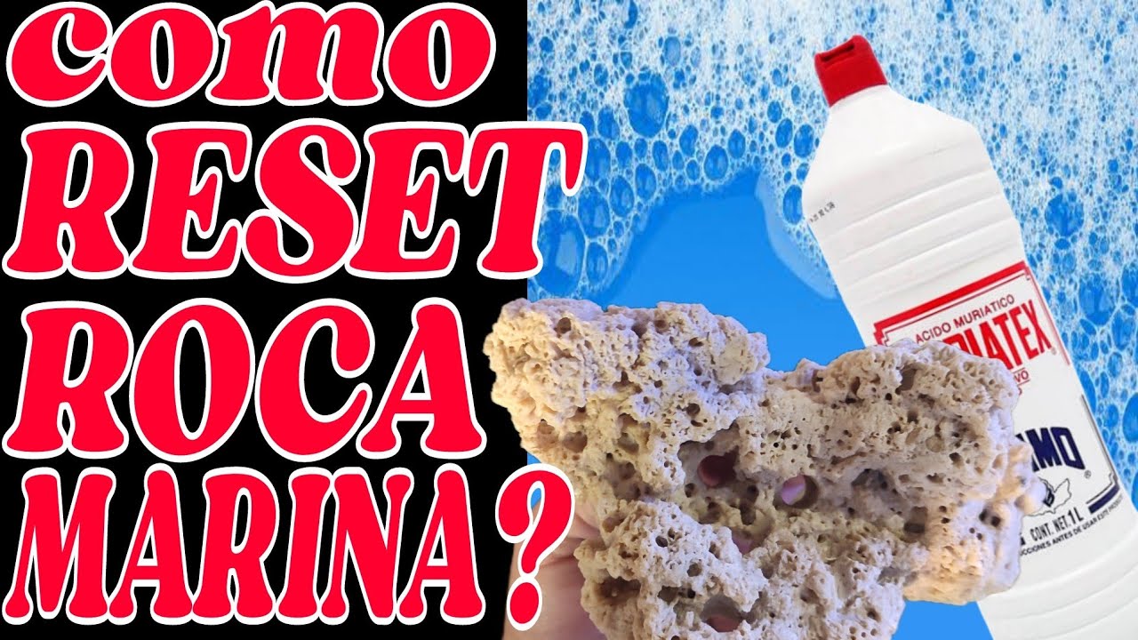 COMO RESETEAR TU ROCA MARINA? FACIL Y EFECTIVO?