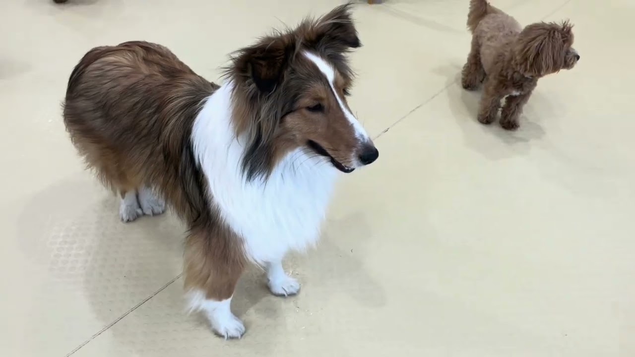 2026.3.11 フリータイムの様子